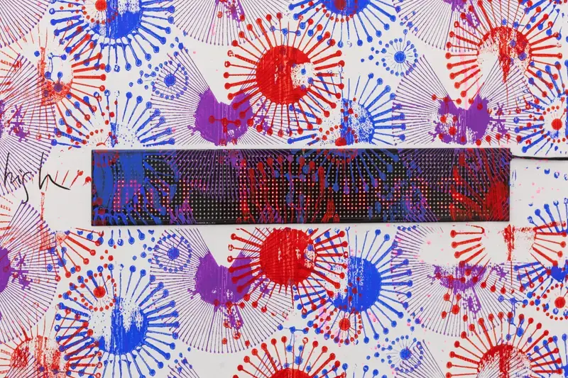 Detail of red and blue network print with a screen across the middle