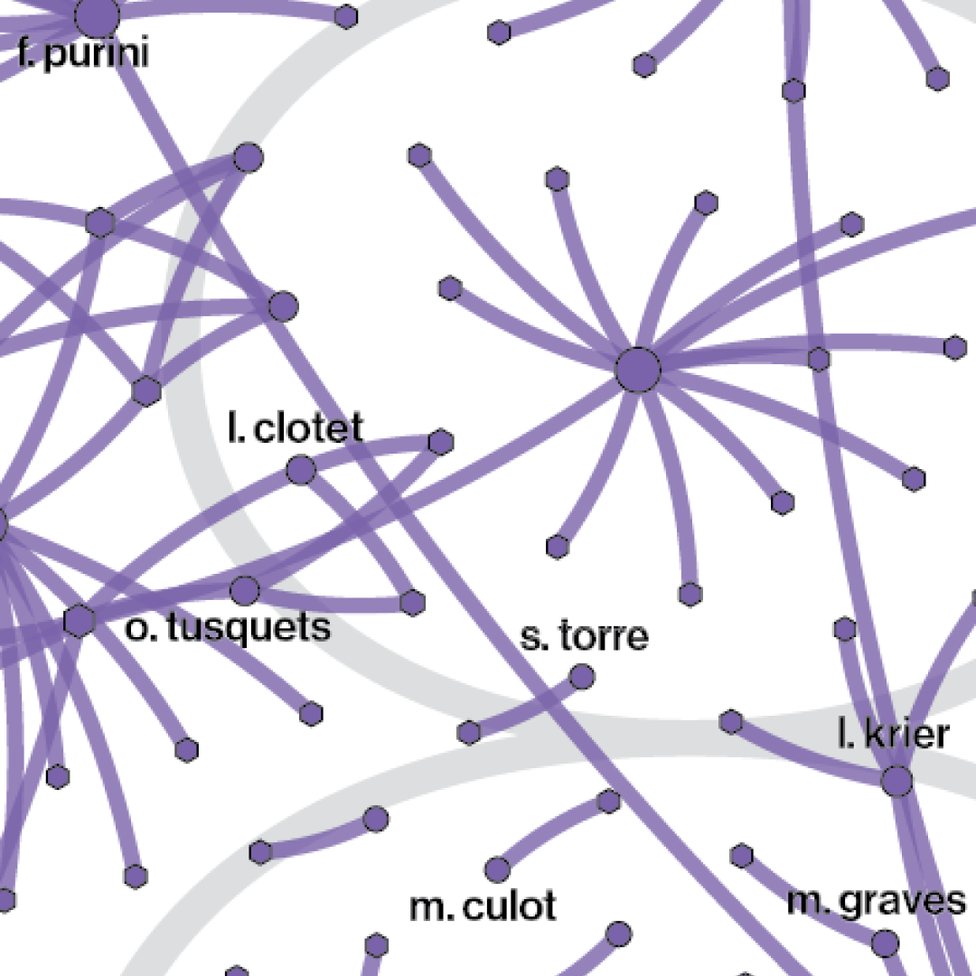 Detail of a violet network with architects' names as labels