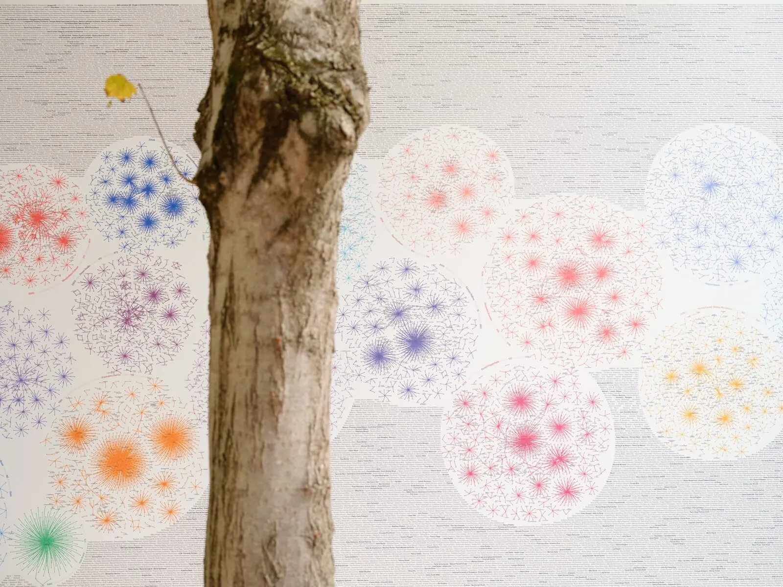 A tree in front of the network wall at the Venice Architecture Biennale