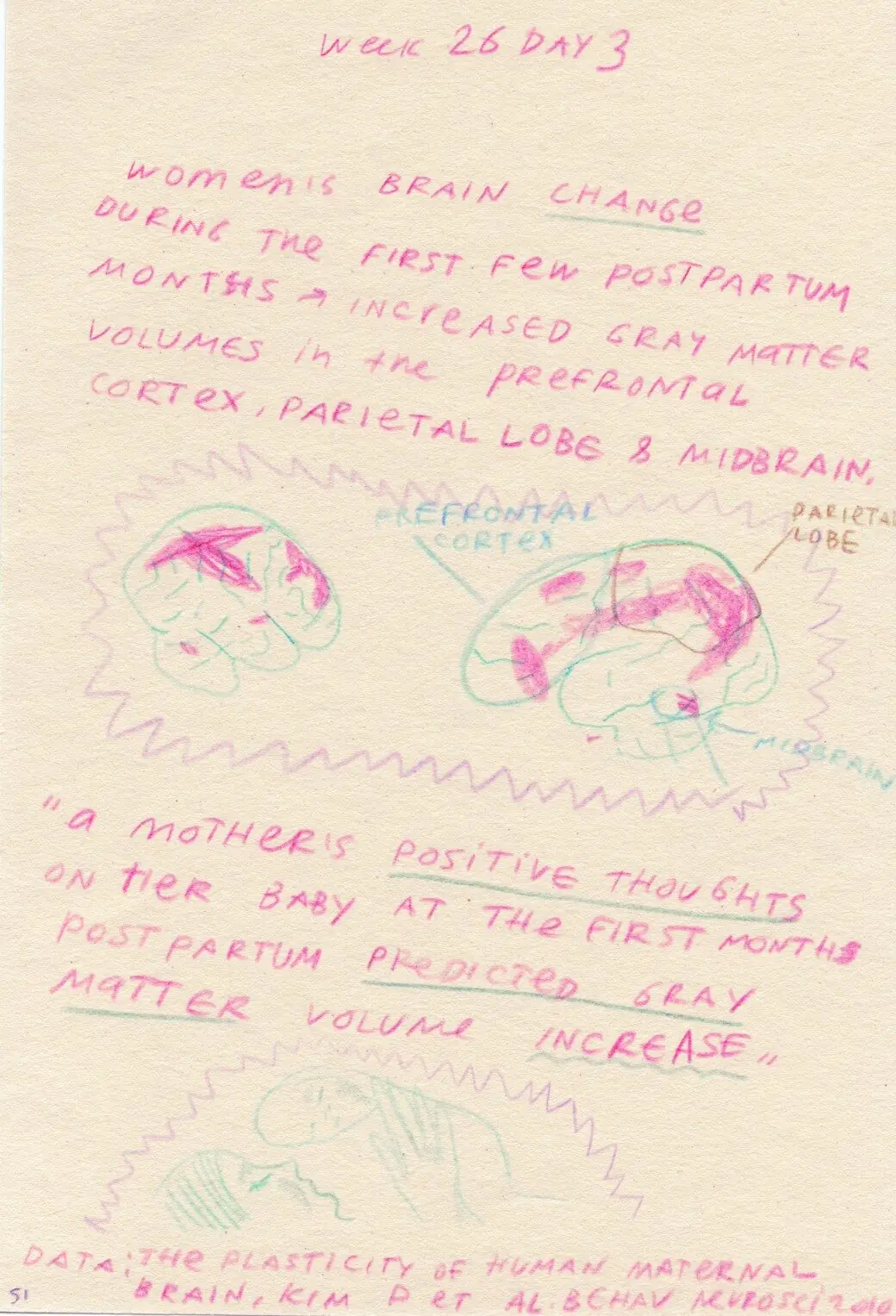 Diary page, week 26 day 3: notes and drawings on how a mother's brain changes